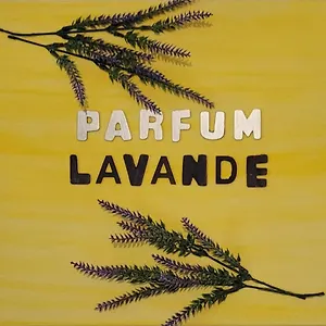 https://parfum-lavande.fr-provencehotel.com